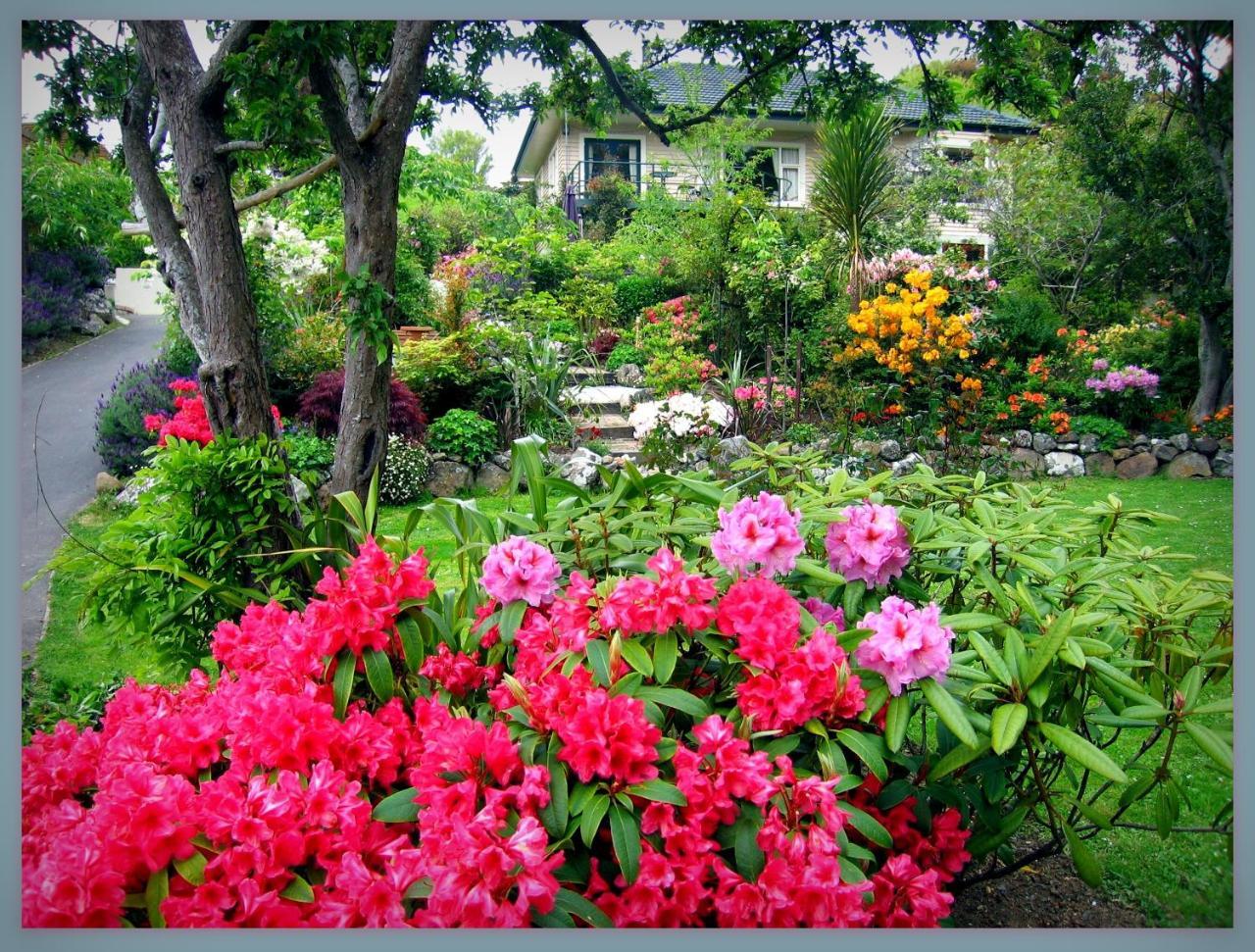 Mcauley Glen Boutique B&B Портобелло Экстерьер фото